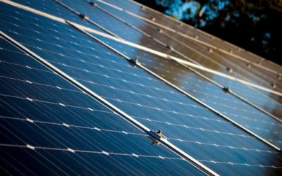 Solar and social energy continue to grow