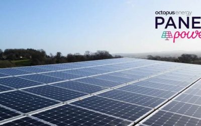 Octopus launches new Panel Power tariffs for businesses with solar