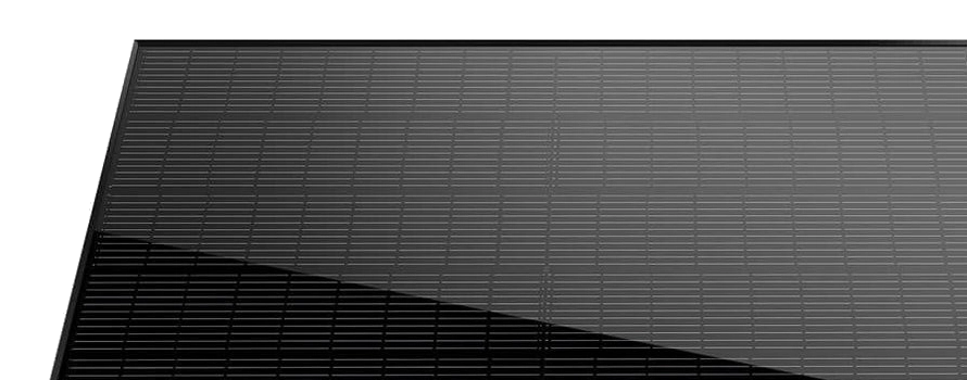 trina-panel